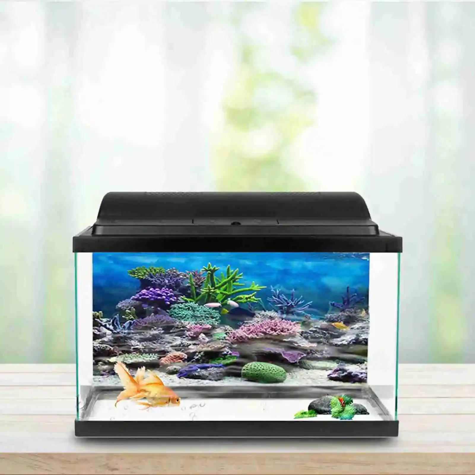3D Aquarium Landscape Poster R - Aquarium Fish Poster recensione e prezzo