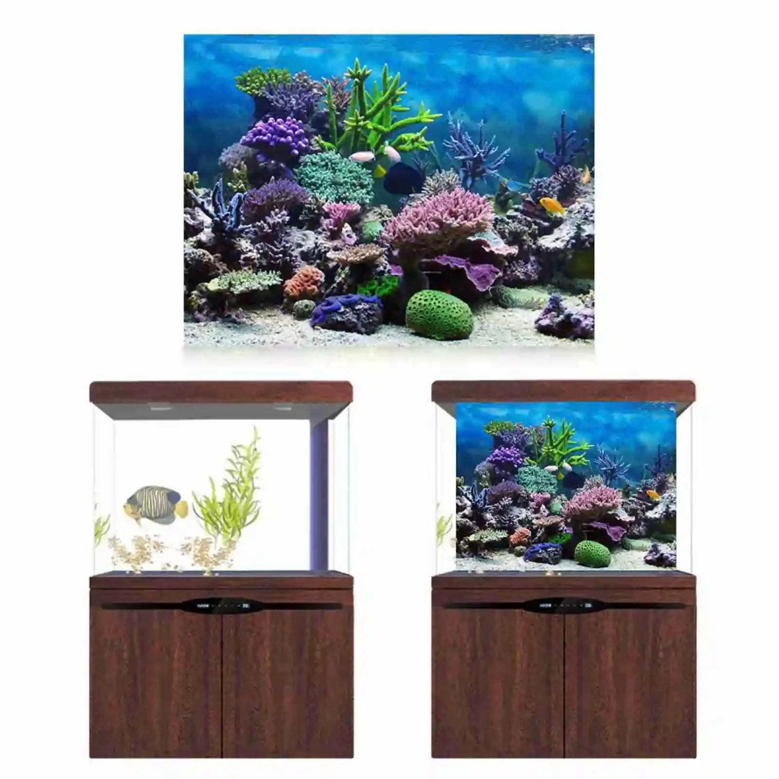 3D Aquarium Landscape Poster R - Aquarium Fish Poster recensione e prezzo