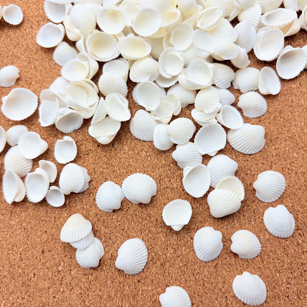 200pcs about 60g Tiny Sea Shel - Aquarium Mini Fish recensione e prezzo