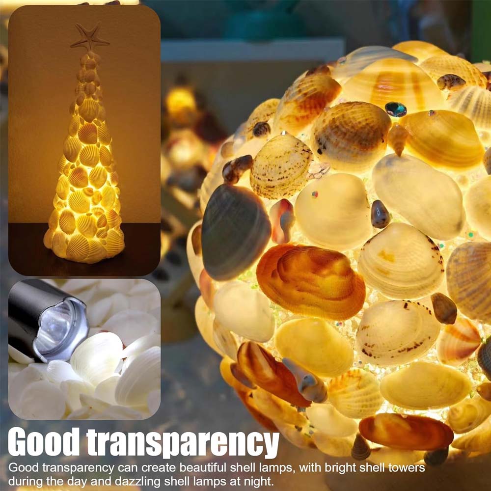 200pcs about 60g Tiny Sea Shel - Aquarium Mini Fish recensione e prezzo