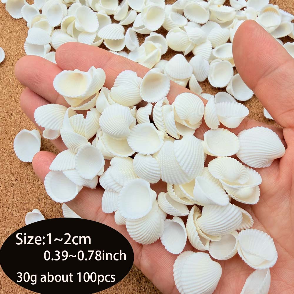 200pcs about 60g Tiny Sea Shel - Aquarium Mini Fish recensione e prezzo