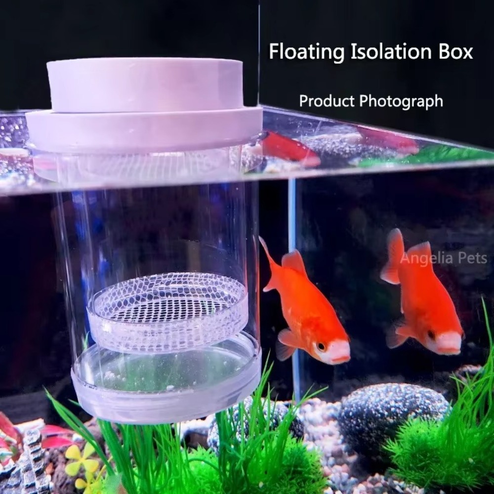 Plastic Floating Fish Breeding - Aquarium Fish Jar recensione e prezzo