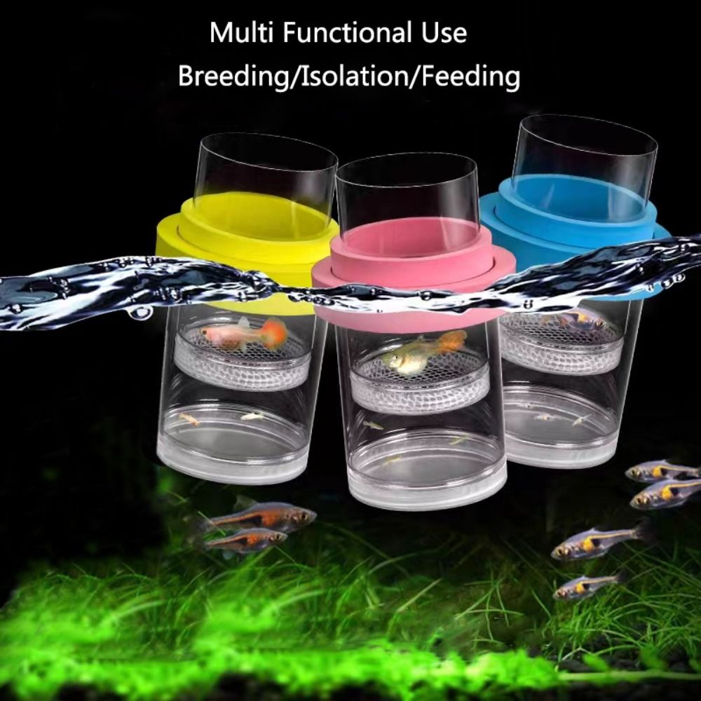 Plastic Floating Fish Breeding - Aquarium Fish Jar recensione e prezzo