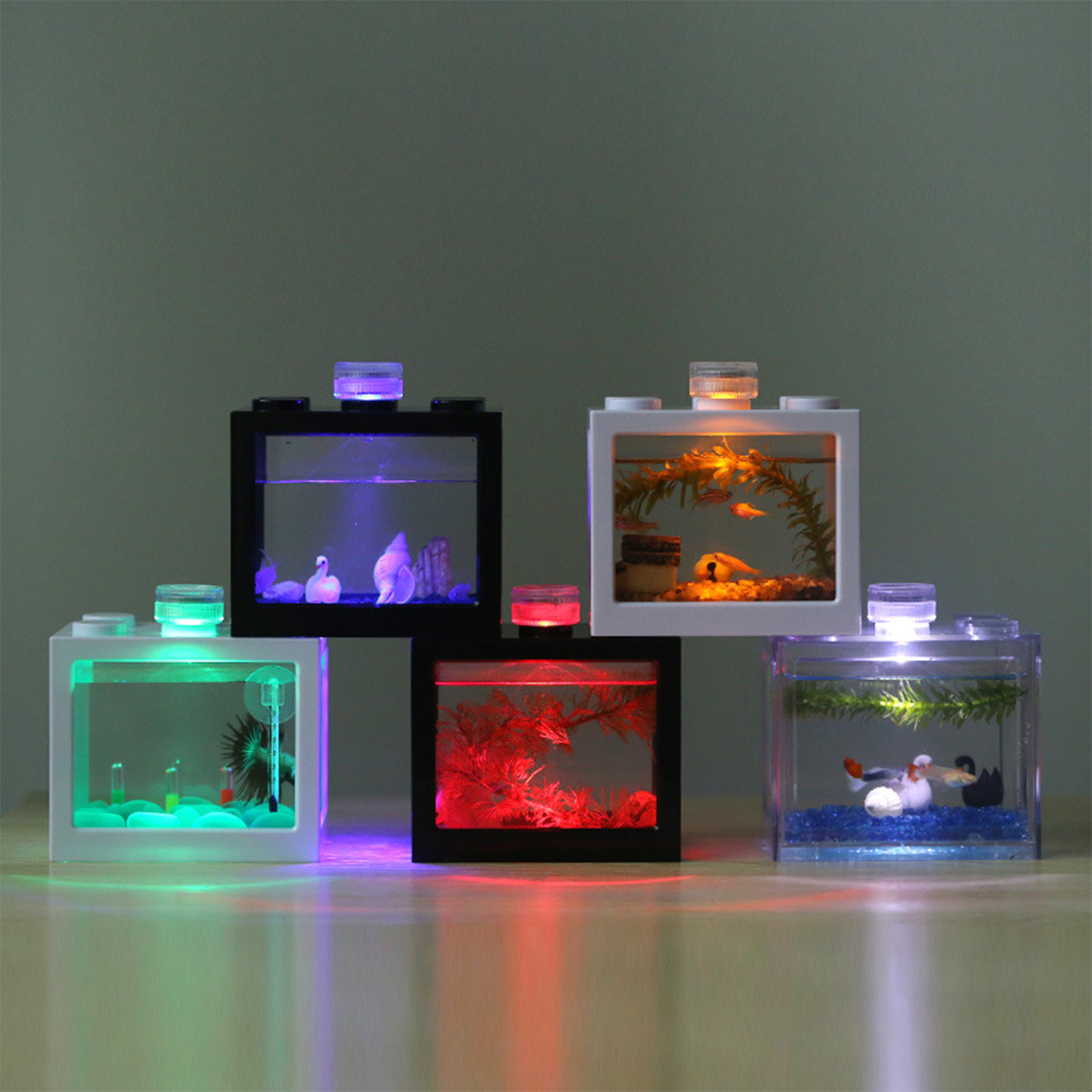 Plastic Betta Fish Tank  Aquar - Aquarium Fish Jar recensione e prezzo