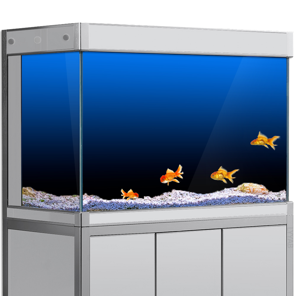 Fish Tank Background Sticker B - Aquarium Fish Poster recensione e prezzo