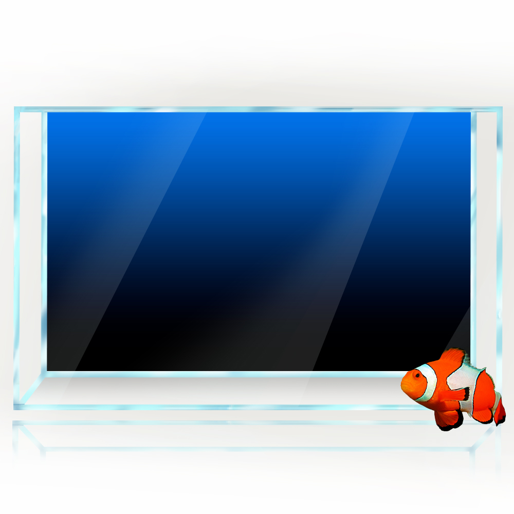Fish Tank Background Sticker B - Aquarium Fish Poster recensione e prezzo