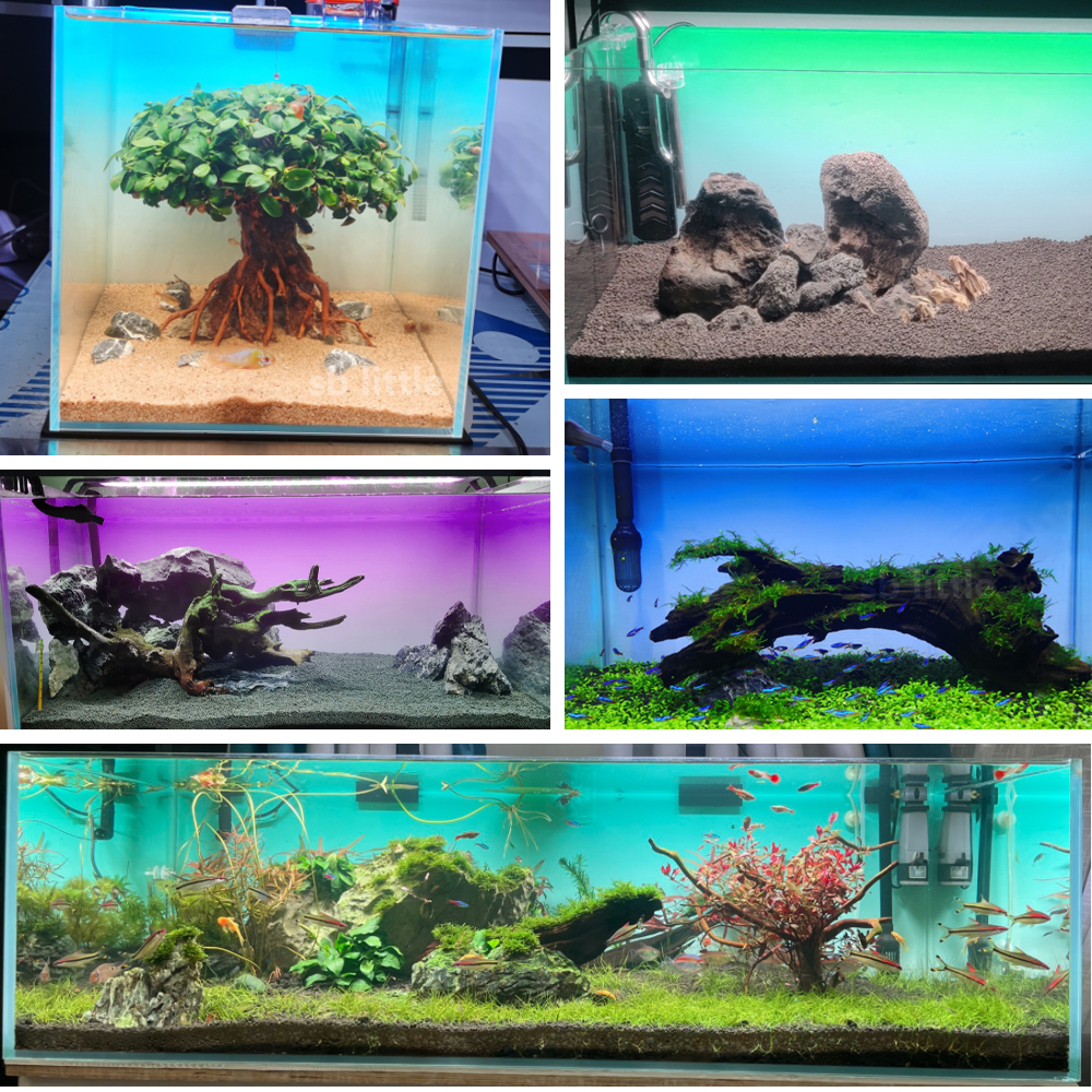 Fish Tank Background Sticker B - Aquarium Fish Poster recensione e prezzo