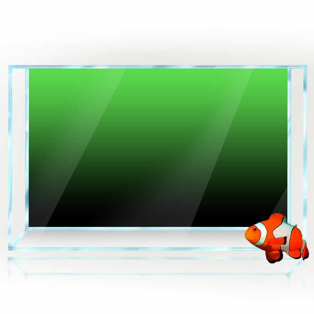 Fish Tank Background Sticker B - Aquarium Fish Poster recensione e prezzo
