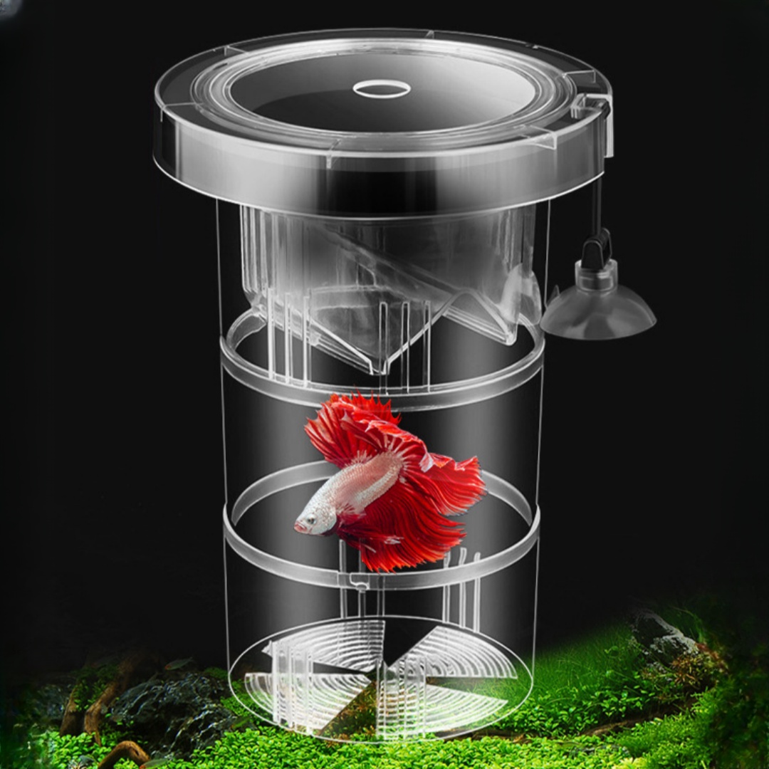 Acrylic Floating Fish Breeding - Aquarium Fish Jar recensione e prezzo