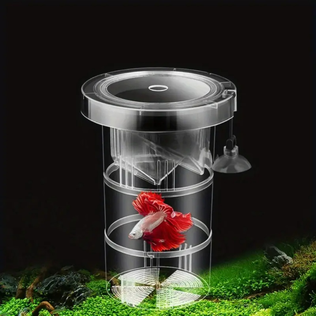 Acrylic Floating Fish Breeding - Aquarium Fish Jar recensione e prezzo