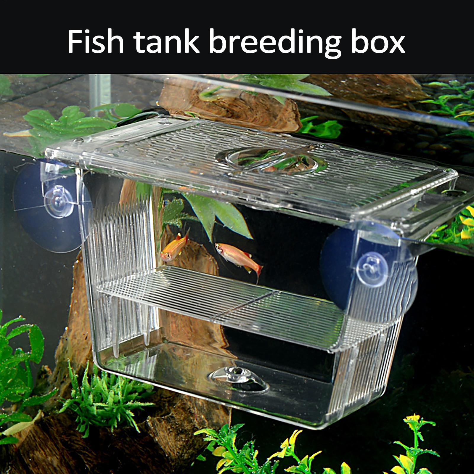 Breeder Box for Fish Tank Tran - Aquarium Fish Jar recensione e prezzo