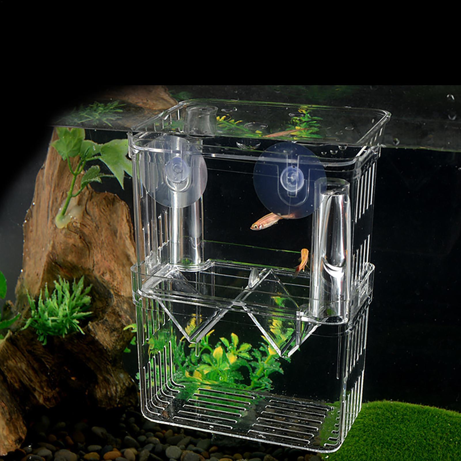 Breeder Box for Fish Tank Tran - Aquarium Fish Jar recensione e prezzo