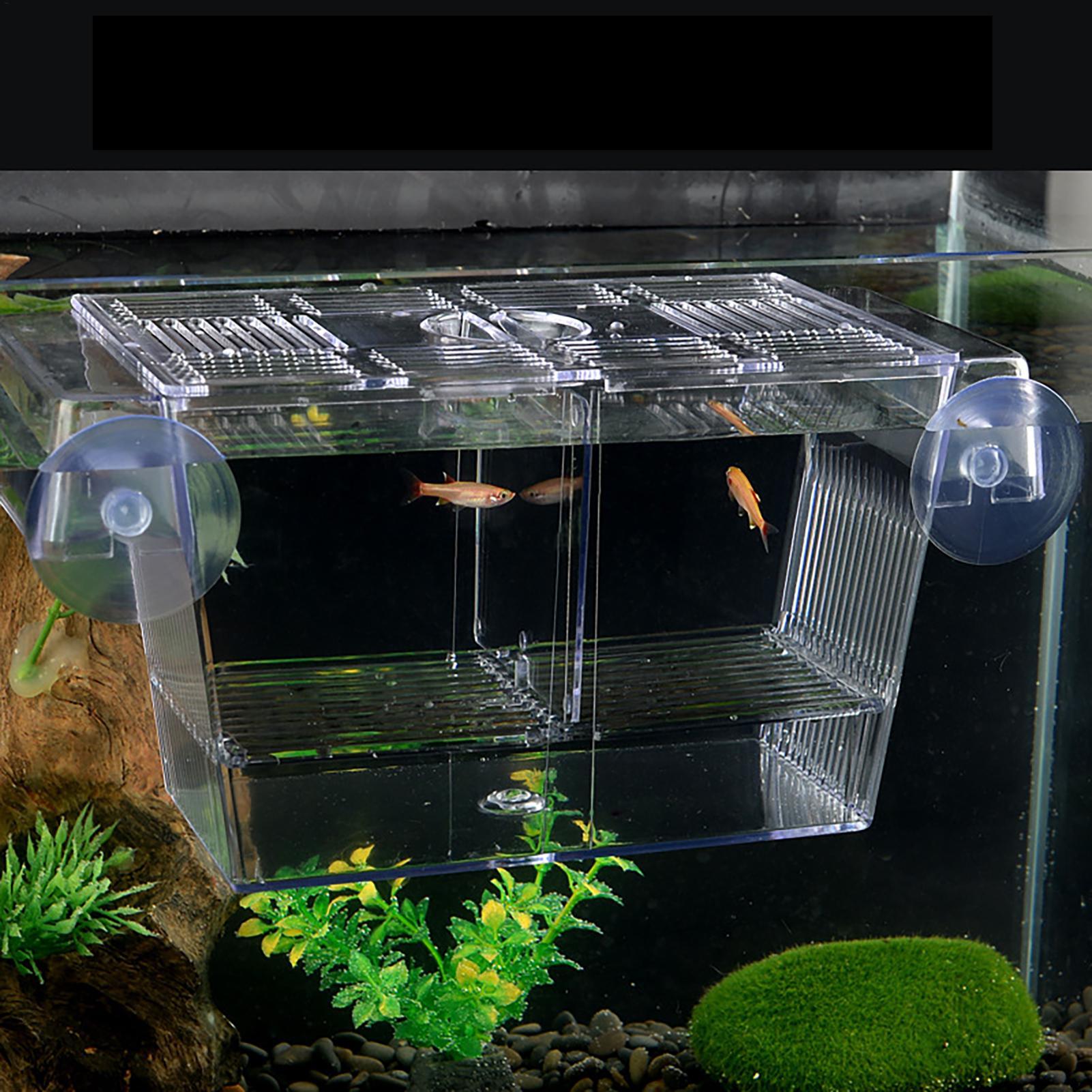 Breeder Box for Fish Tank Tran - Aquarium Fish Jar recensione e prezzo