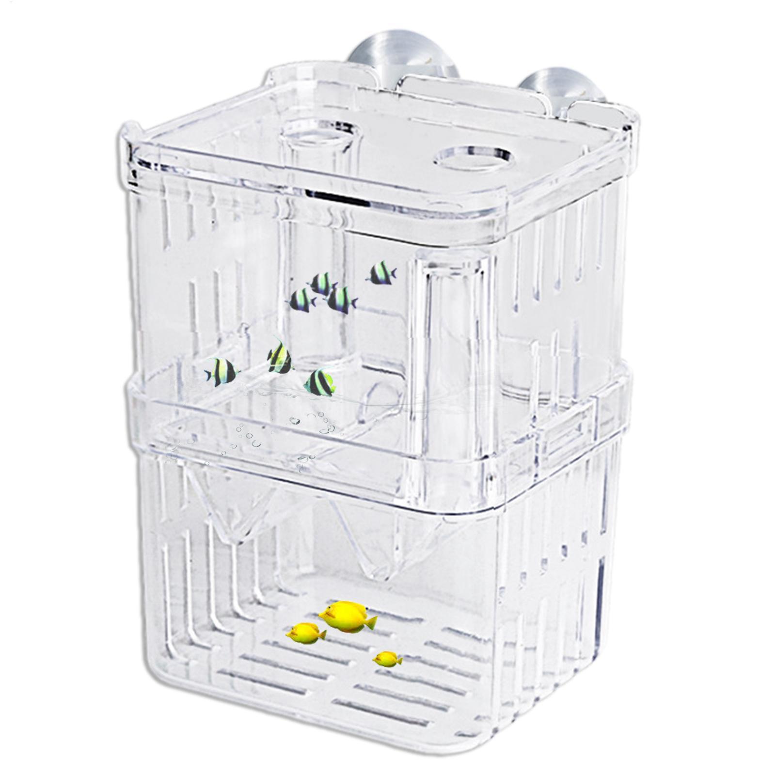 Breeder Box for Fish Tank Tran - Aquarium Fish Jar recensione e prezzo
