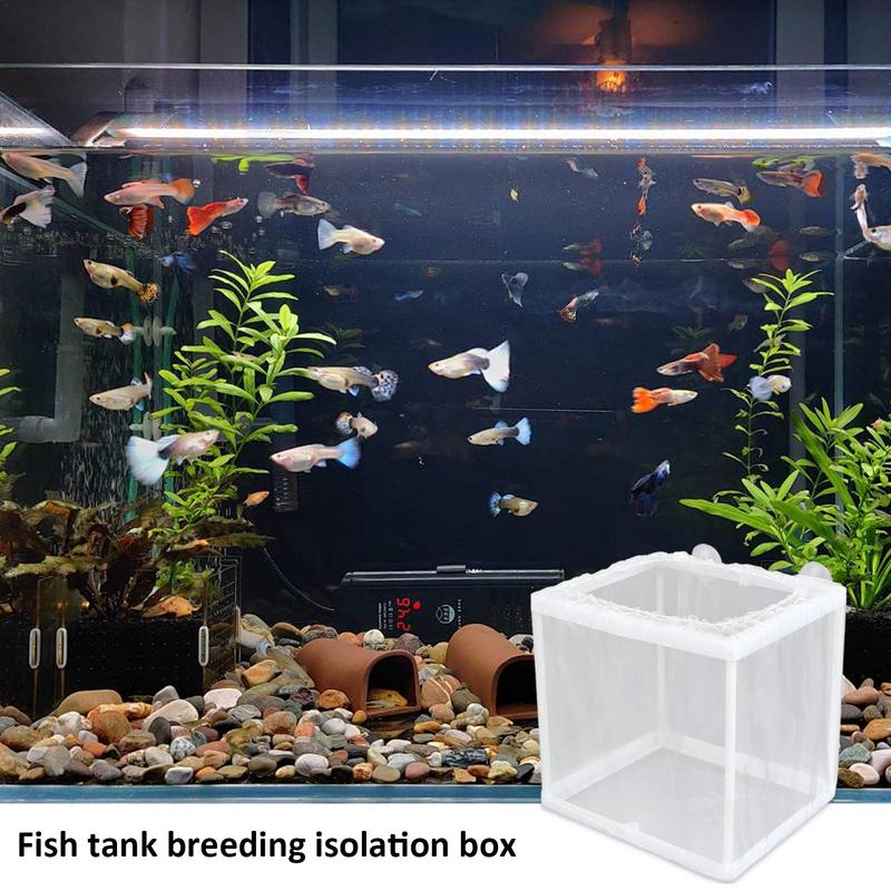 Fish Breeder Box with Suction, - Aquarium Fish Jar recensione e prezzo