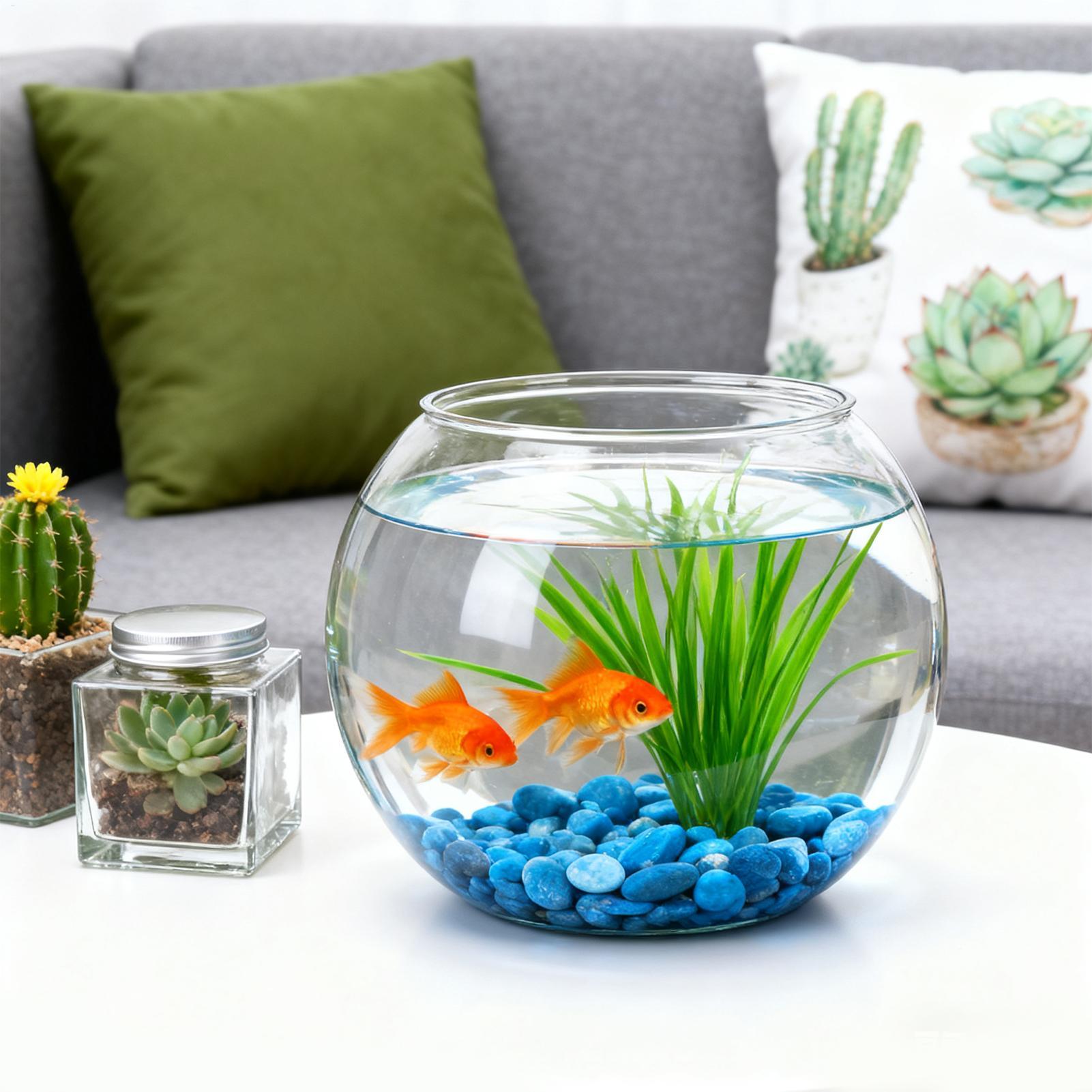 Bubble Bowl Space-Saving Aquar - Aquarium Fish Jar recensione e prezzo