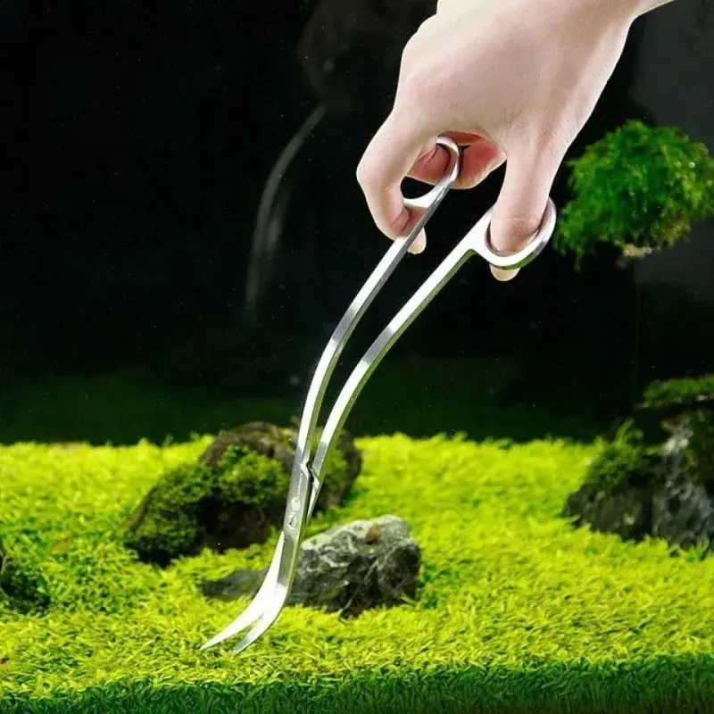 Aquarium Scissors,Extra Long S - Cleaner Fish Aquarium recensione e prezzo