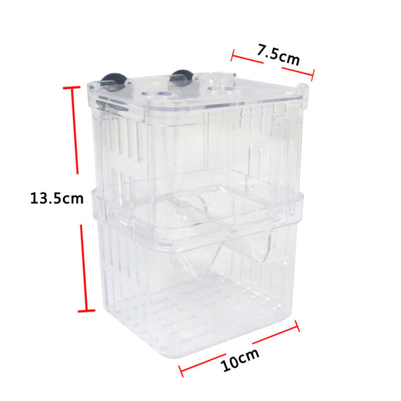Peacock Fish Breeding Isolatio - Aquarium Fish Jar recensione e prezzo
