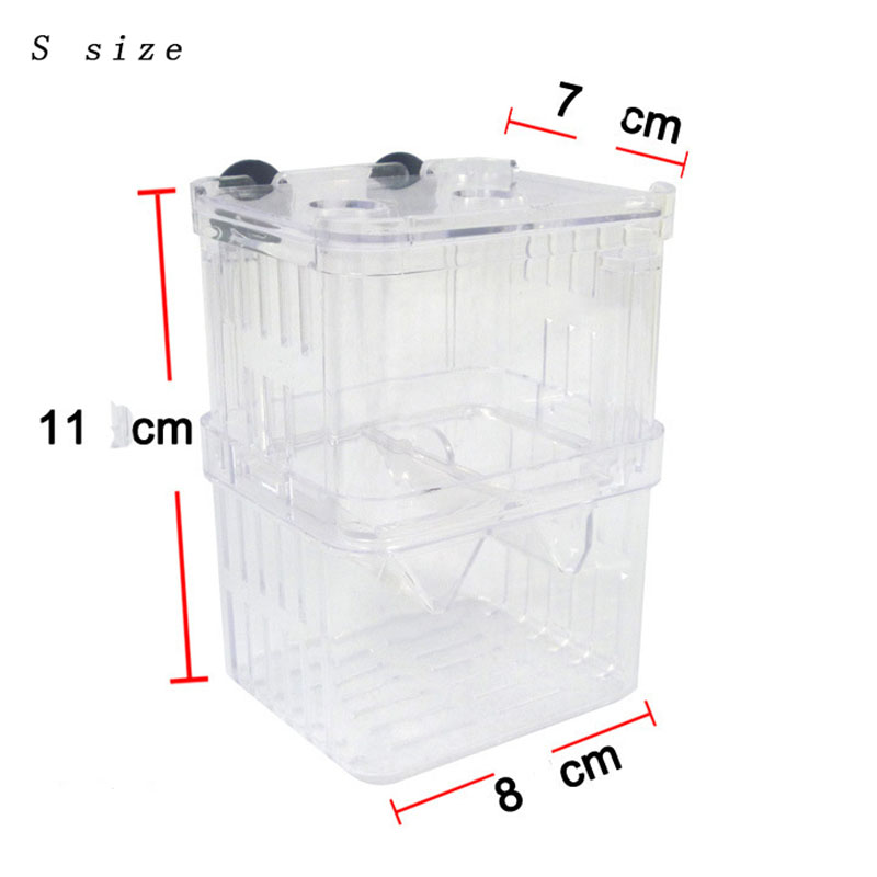 Peacock Fish Breeding Isolatio - Aquarium Fish Jar recensione e prezzo