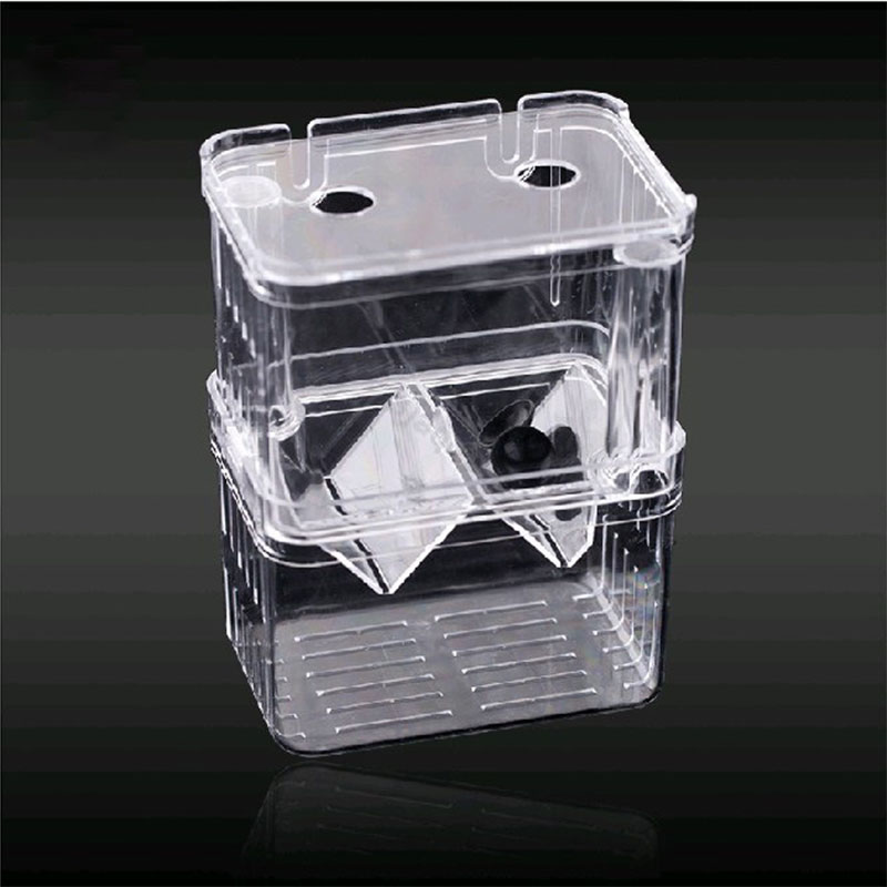 Peacock Fish Breeding Isolatio - Aquarium Fish Jar recensione e prezzo