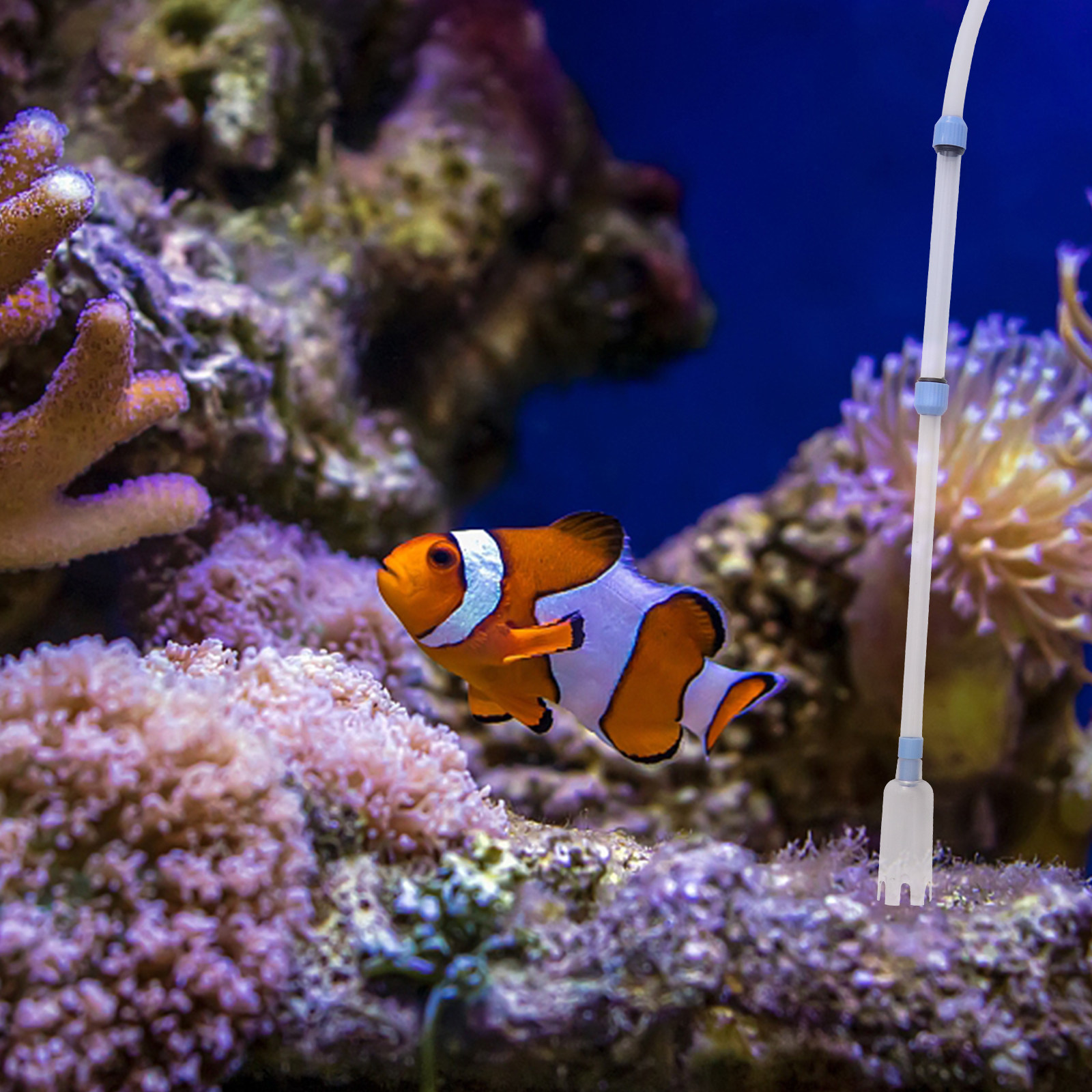 Fish Tank Cleaner Manual Vacuu - Gravel Vacuum Cleaner recensione e prezzo