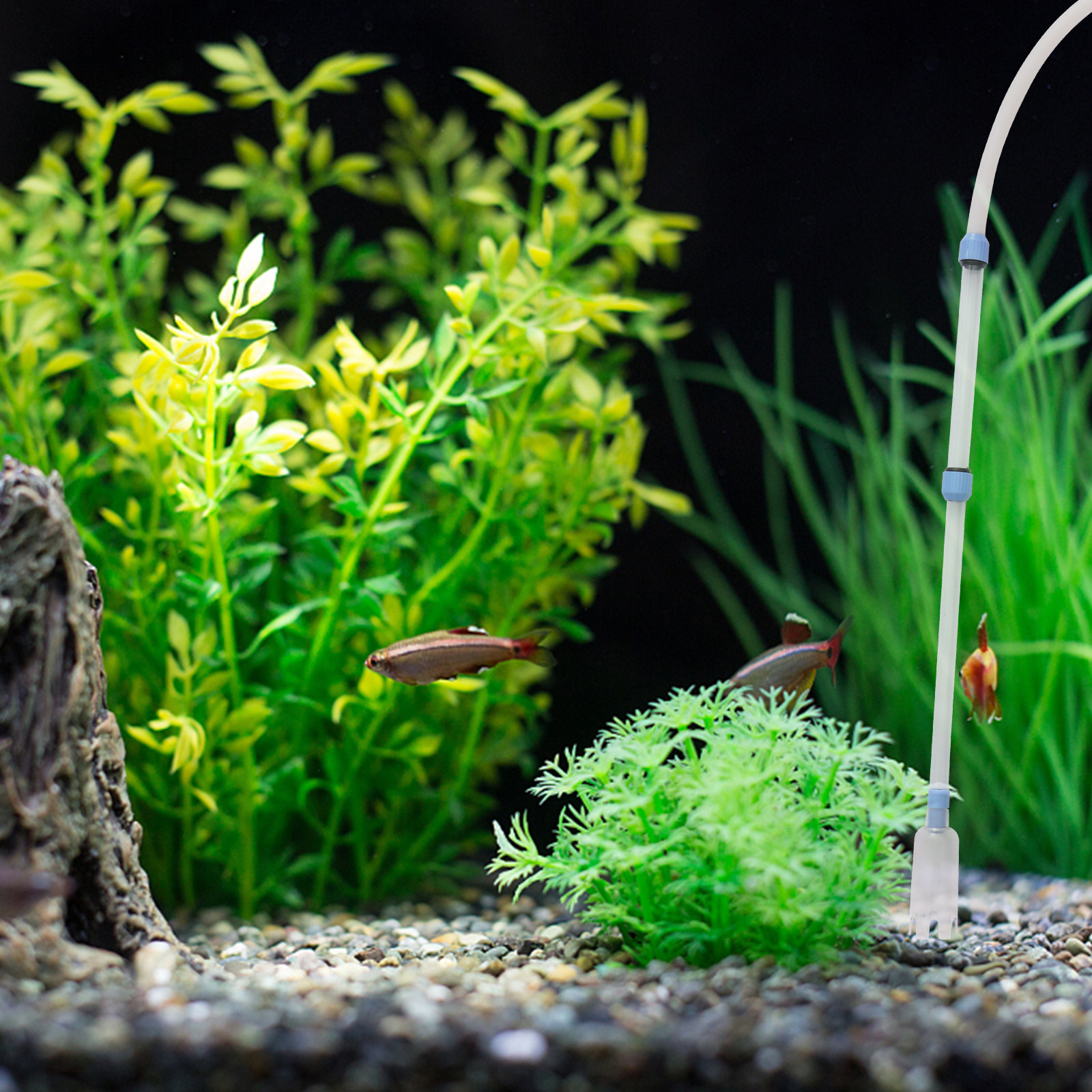 Fish Tank Cleaner Manual Vacuu - Gravel Vacuum Cleaner recensione e prezzo