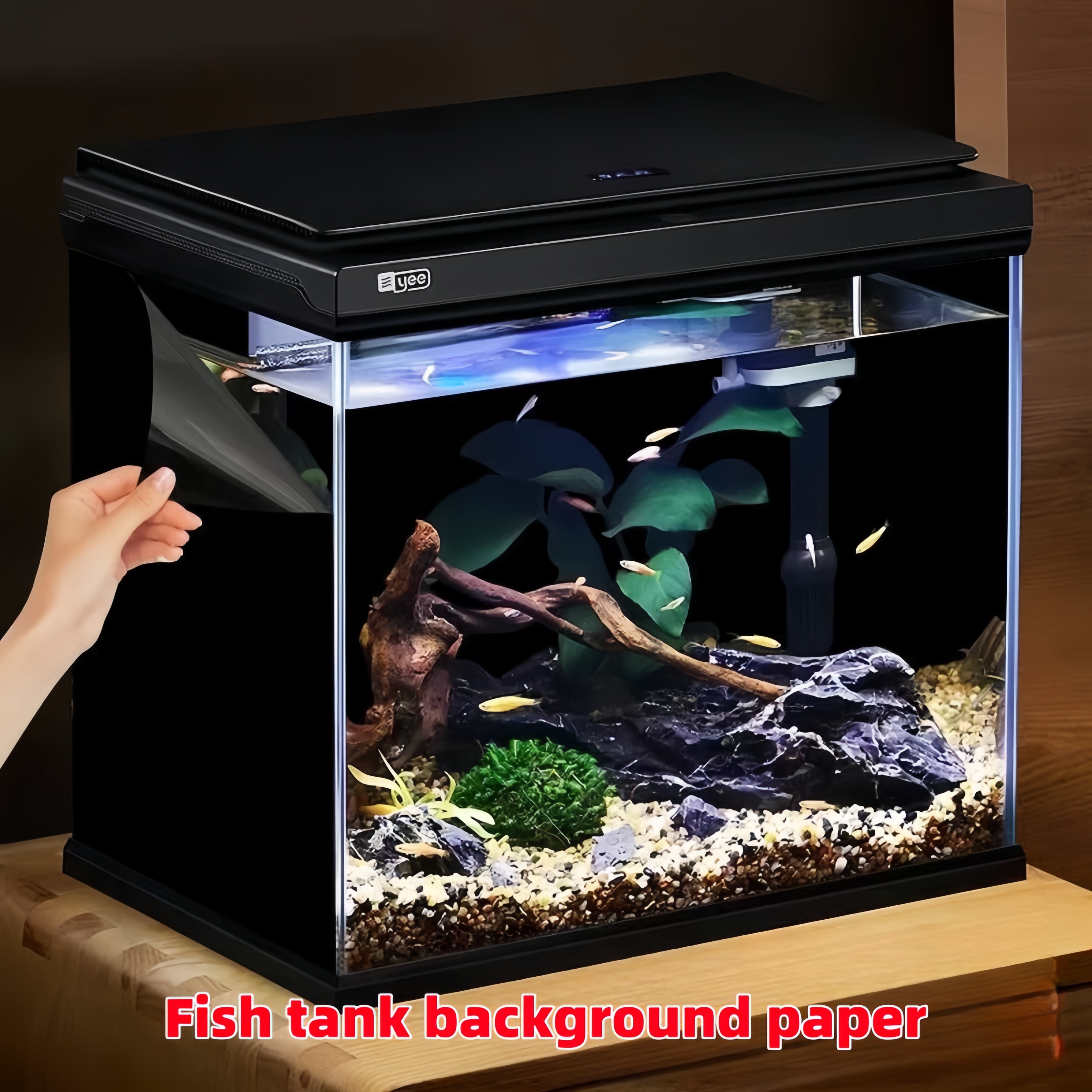 Black Aquarium Background Wall - Aquarium Fish Poster recensione e prezzo