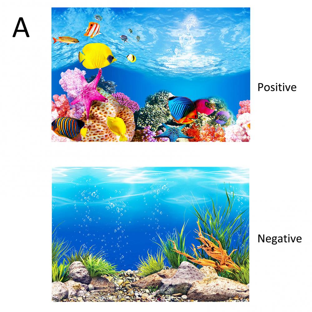 Aquarium Background Poster Oce - Aquarium Fish Poster recensione e prezzo