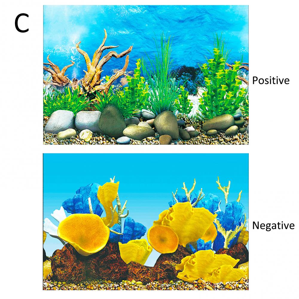 Aquarium Background Poster Oce - Aquarium Fish Poster recensione e prezzo