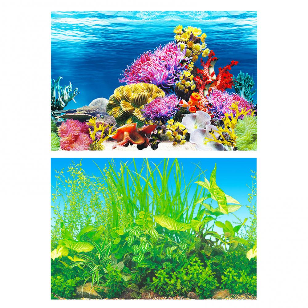 Aquarium Background Poster Oce - Aquarium Fish Poster recensione e prezzo